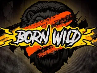 Born Wild screenshot